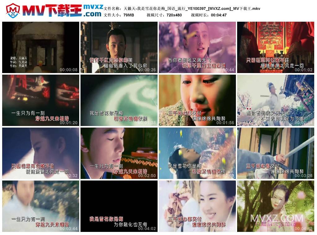 天籁天-我是雪花你是梅_国语_流行_YE100397